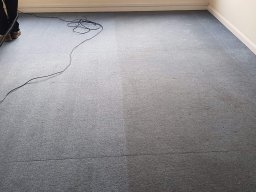 carpet cleaning process 2